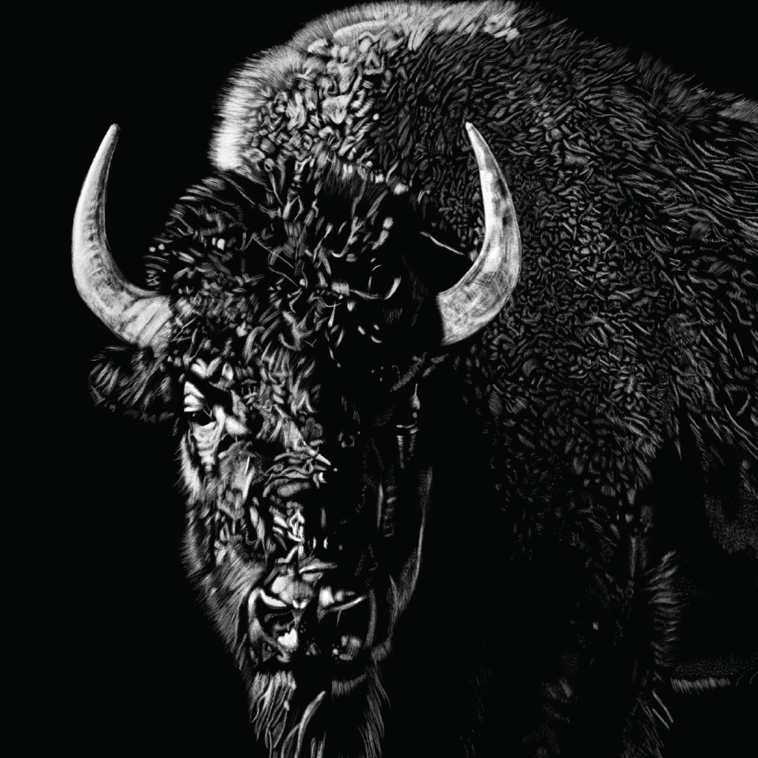 "The Beauty of Beasts" by Megan George