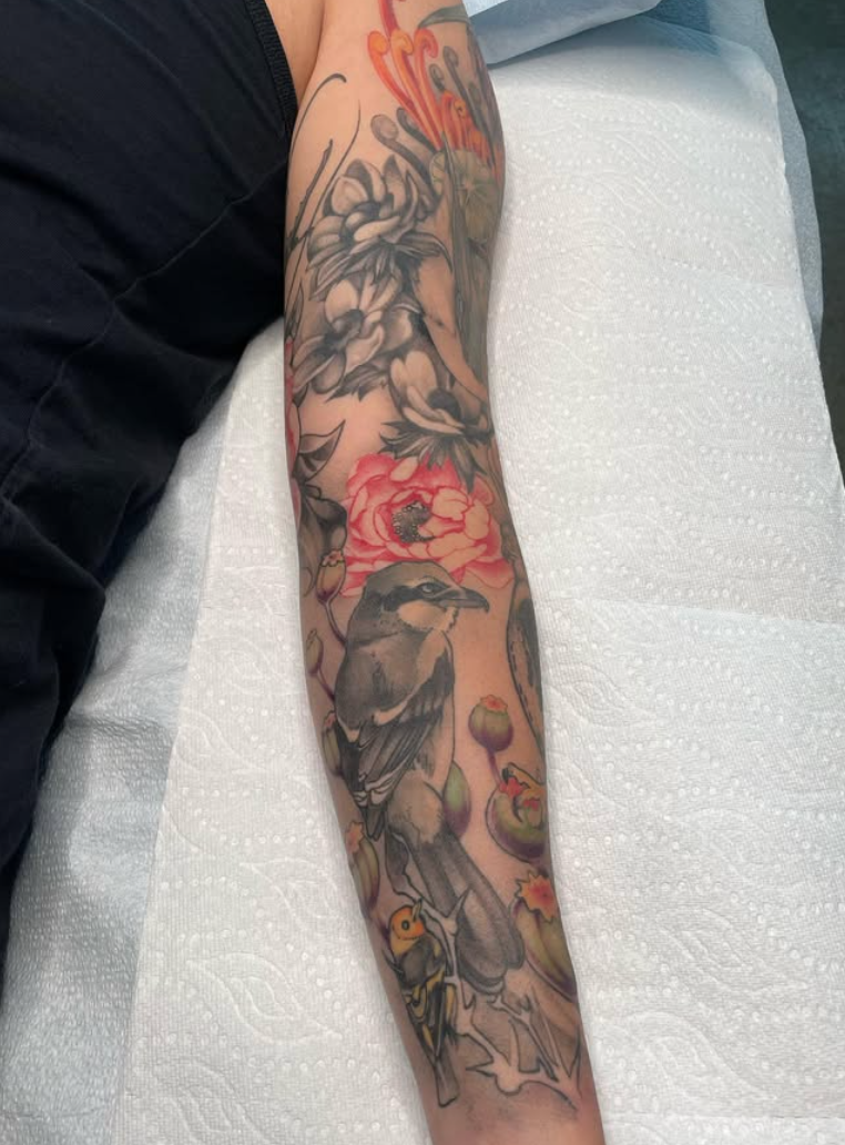 Screen Shot 2026-02-13 at 4.55.00 PM.png