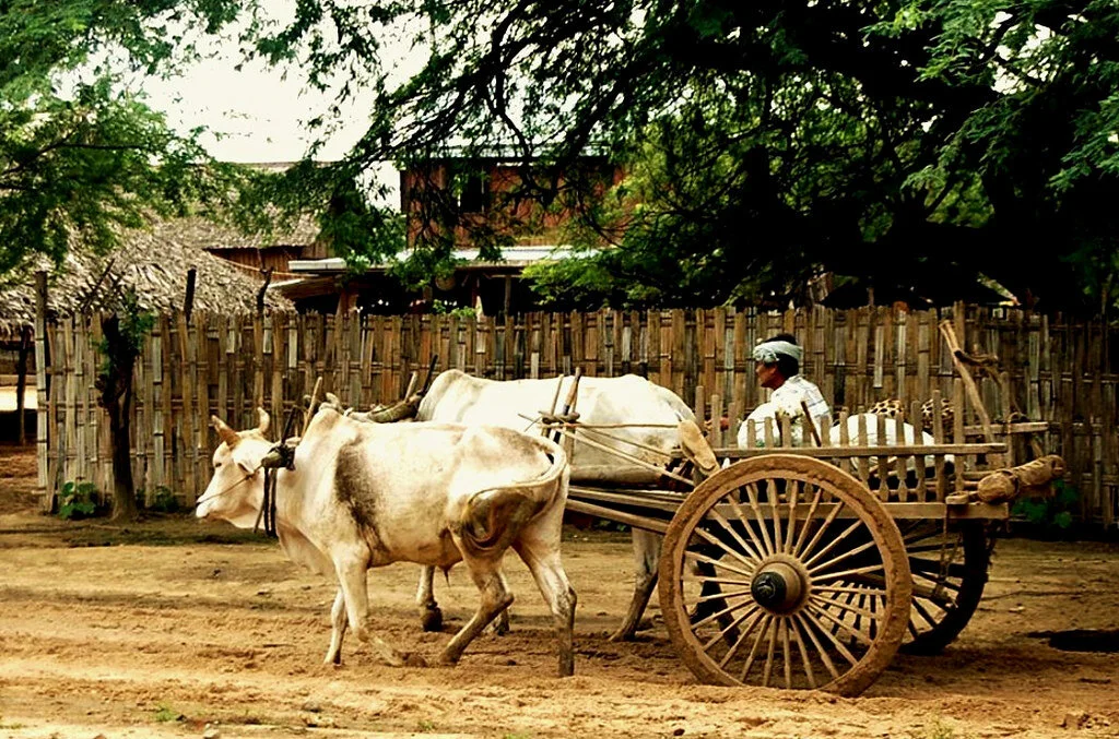 burma image 11.jpg