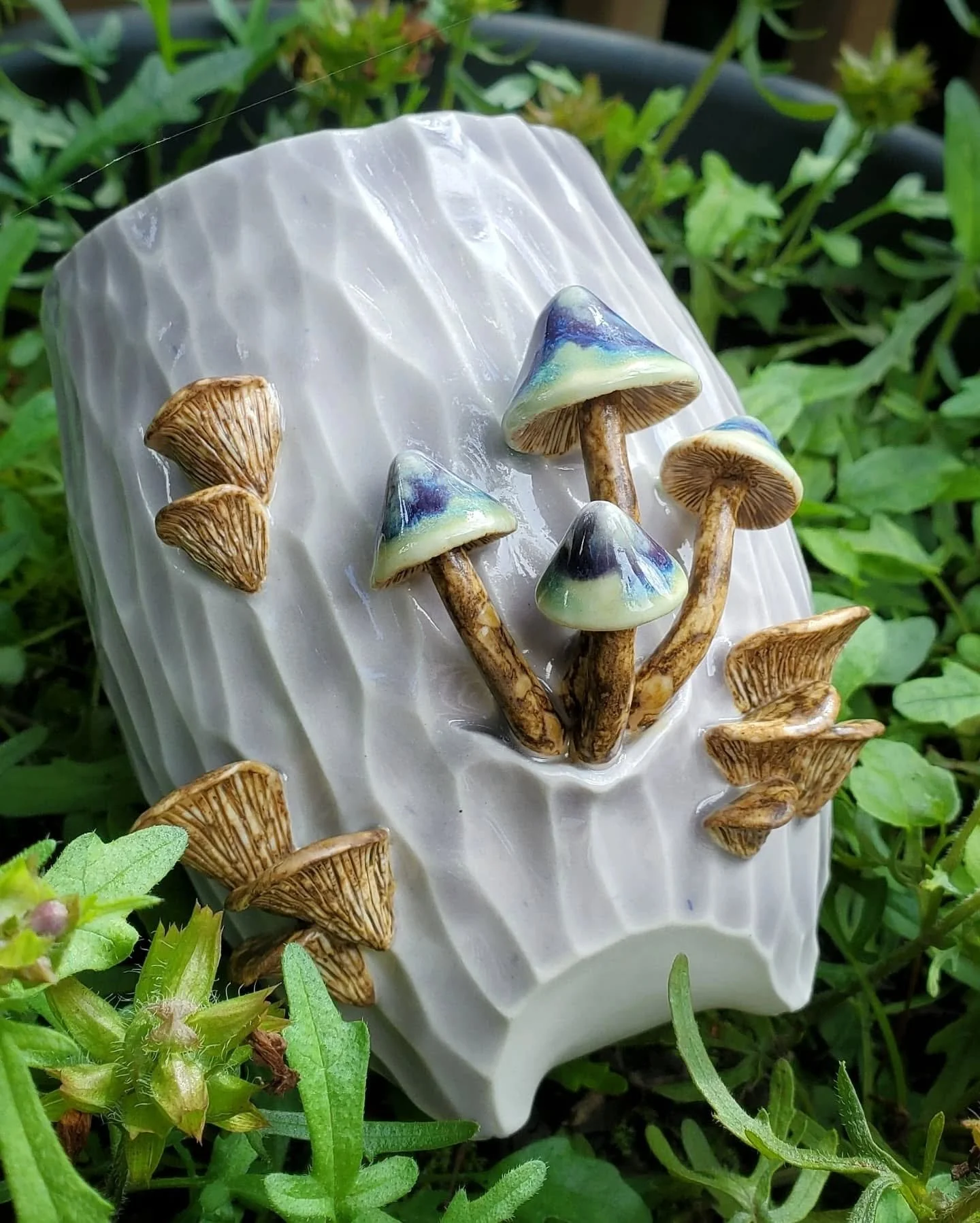 🍄 I feel like it has been a while since I glazed some mushroom work! What do you think of the colors? I sometimes have a hard time with colors on the white clay mushroom pieces.&nbsp;

These will be available in my upcoming sale. ✨ I am in the middl