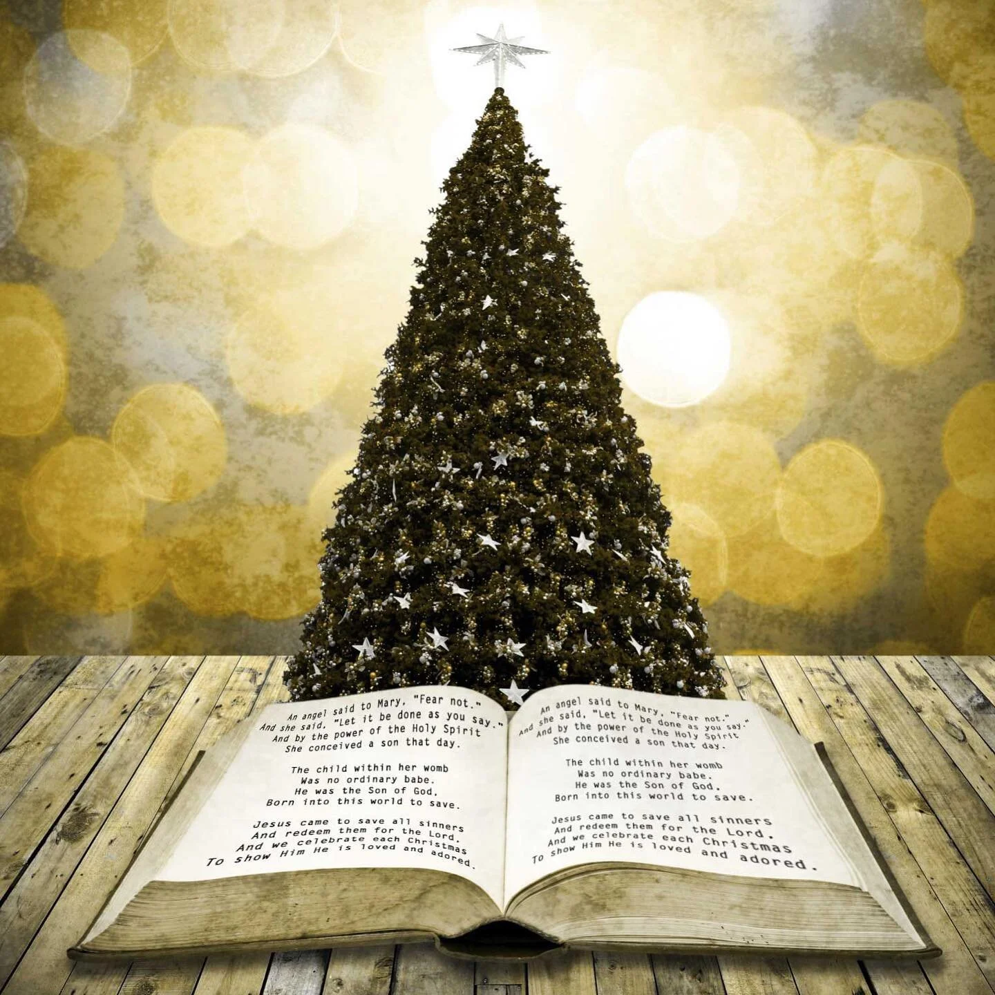 M-E-R-R-Y 
C-H-R-I-S-T-M-A-S! 
.
.
.
#happybirthdayjesus #merrychristmas