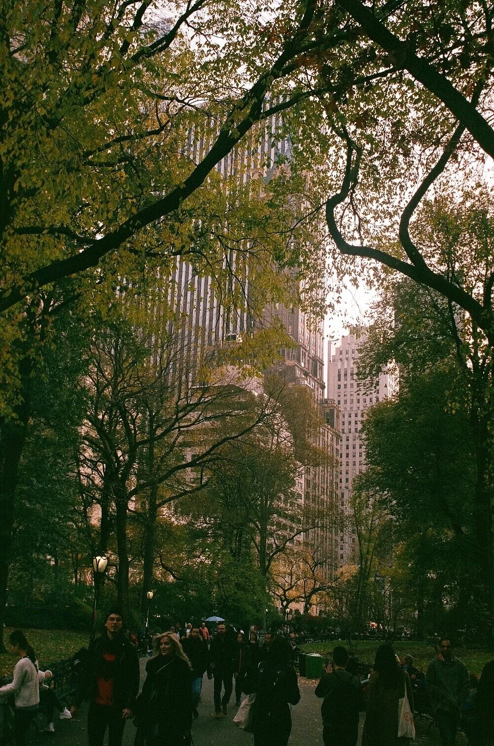 000190.jpg