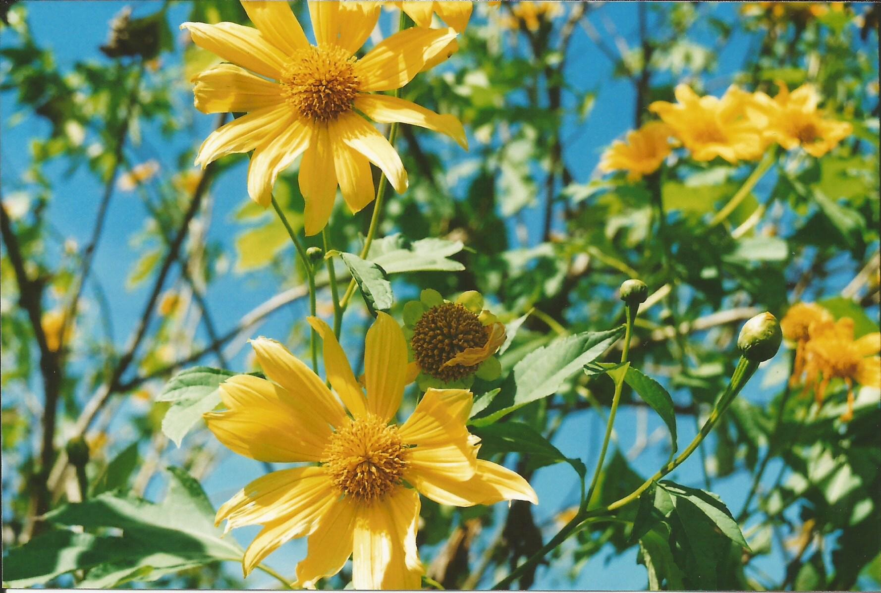 Scan 07.jpg