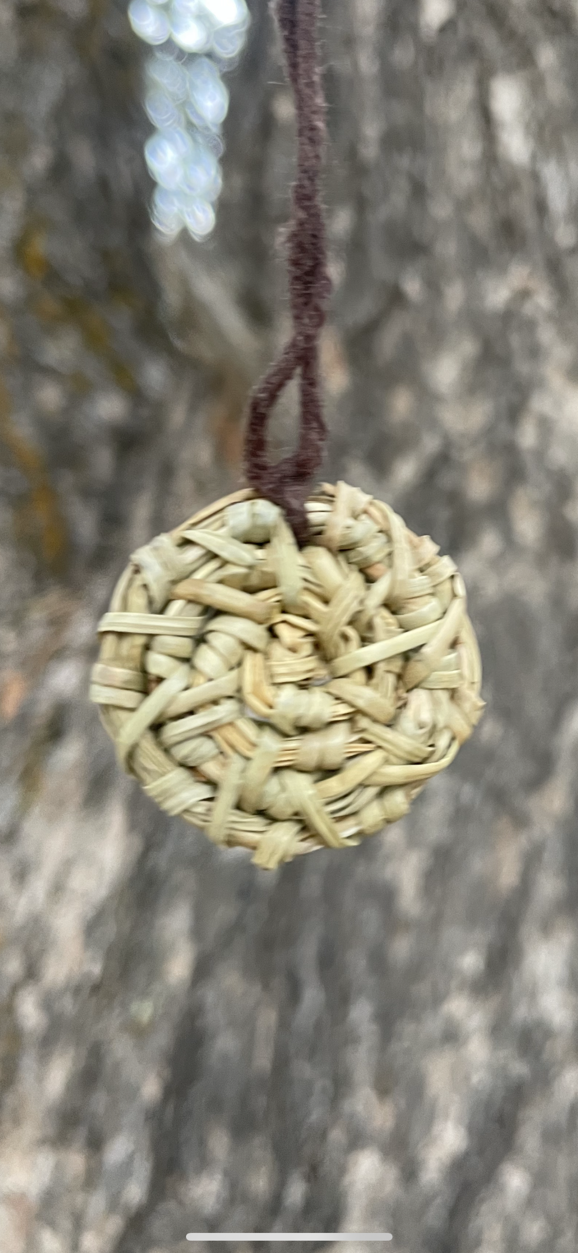 IMG_8611.PNG