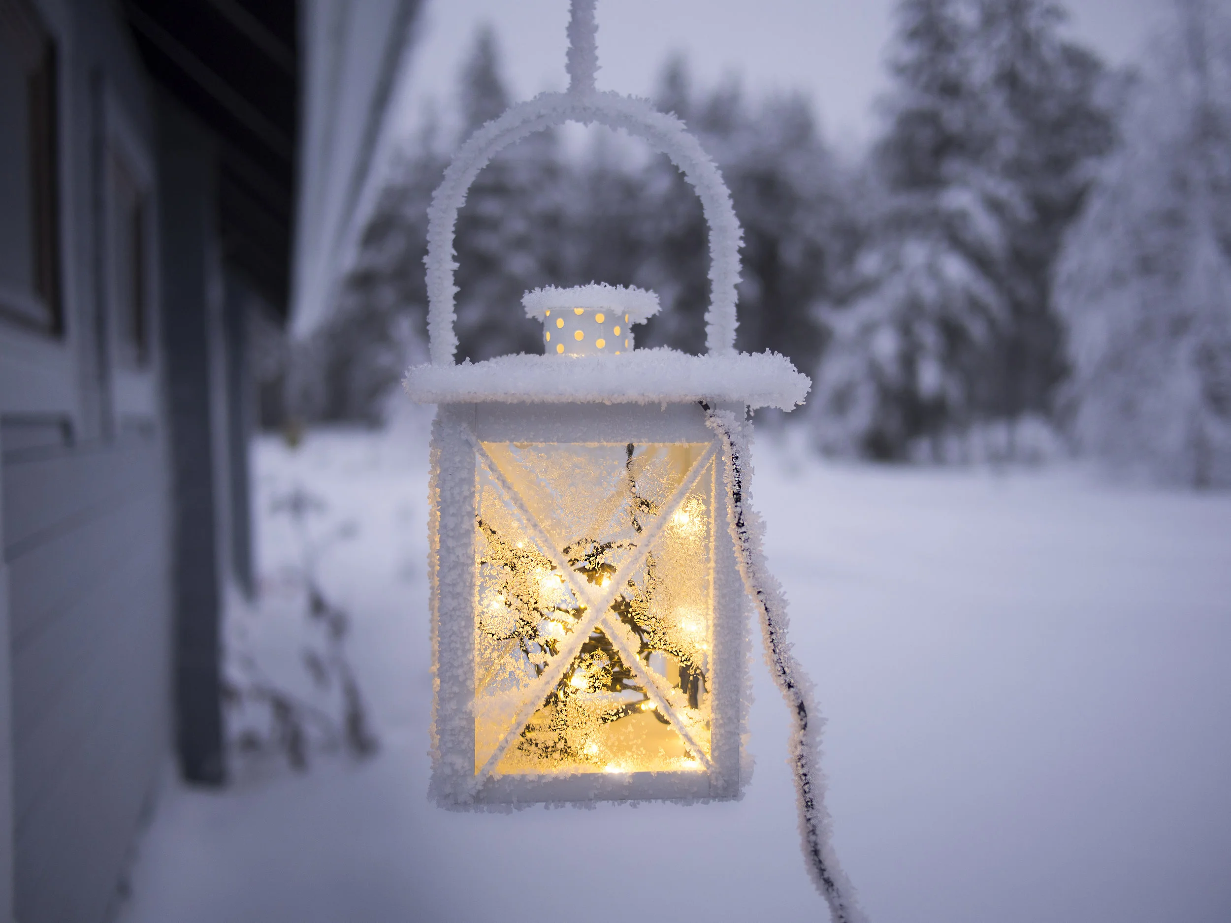 Let It Snow, Let It Snow! - Amy Dice
