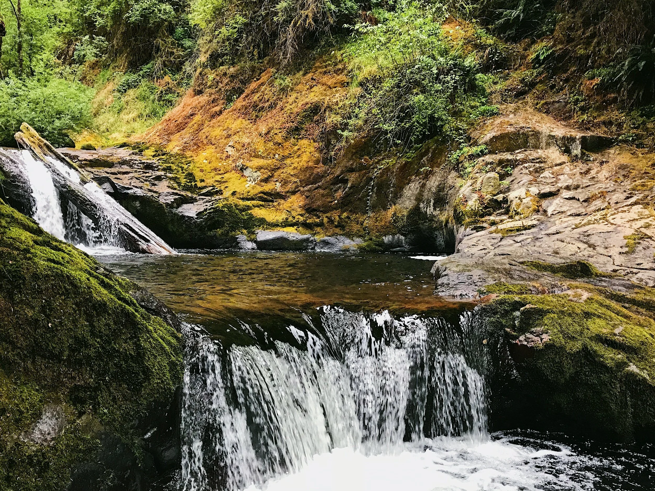 The Source of Sweet Water - Patti Larson