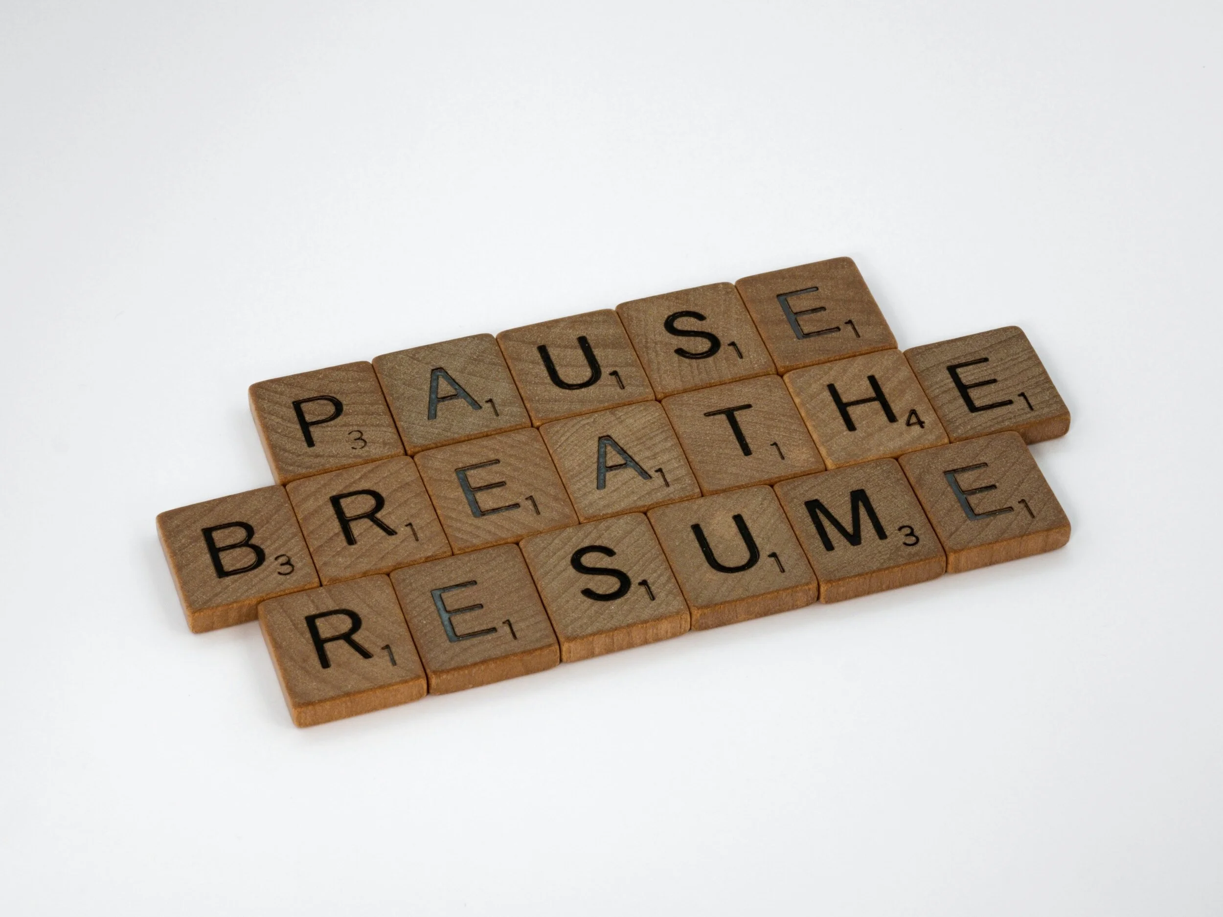 A year of PAUSE! - Stephanie Shipman