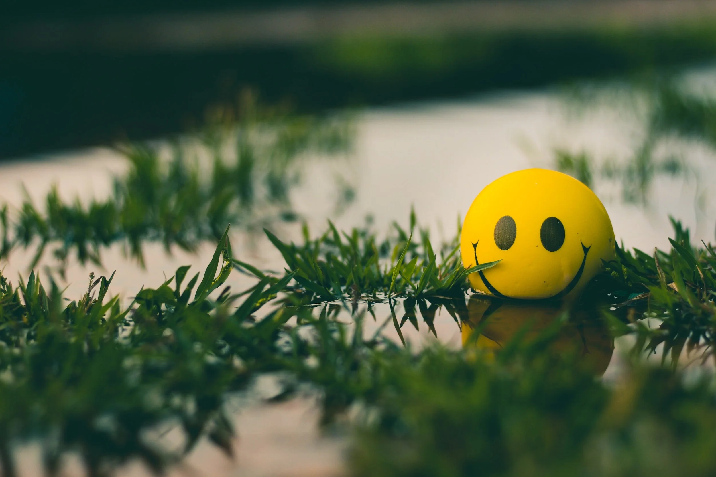 The Duty of Attitude - Catherine Veazey