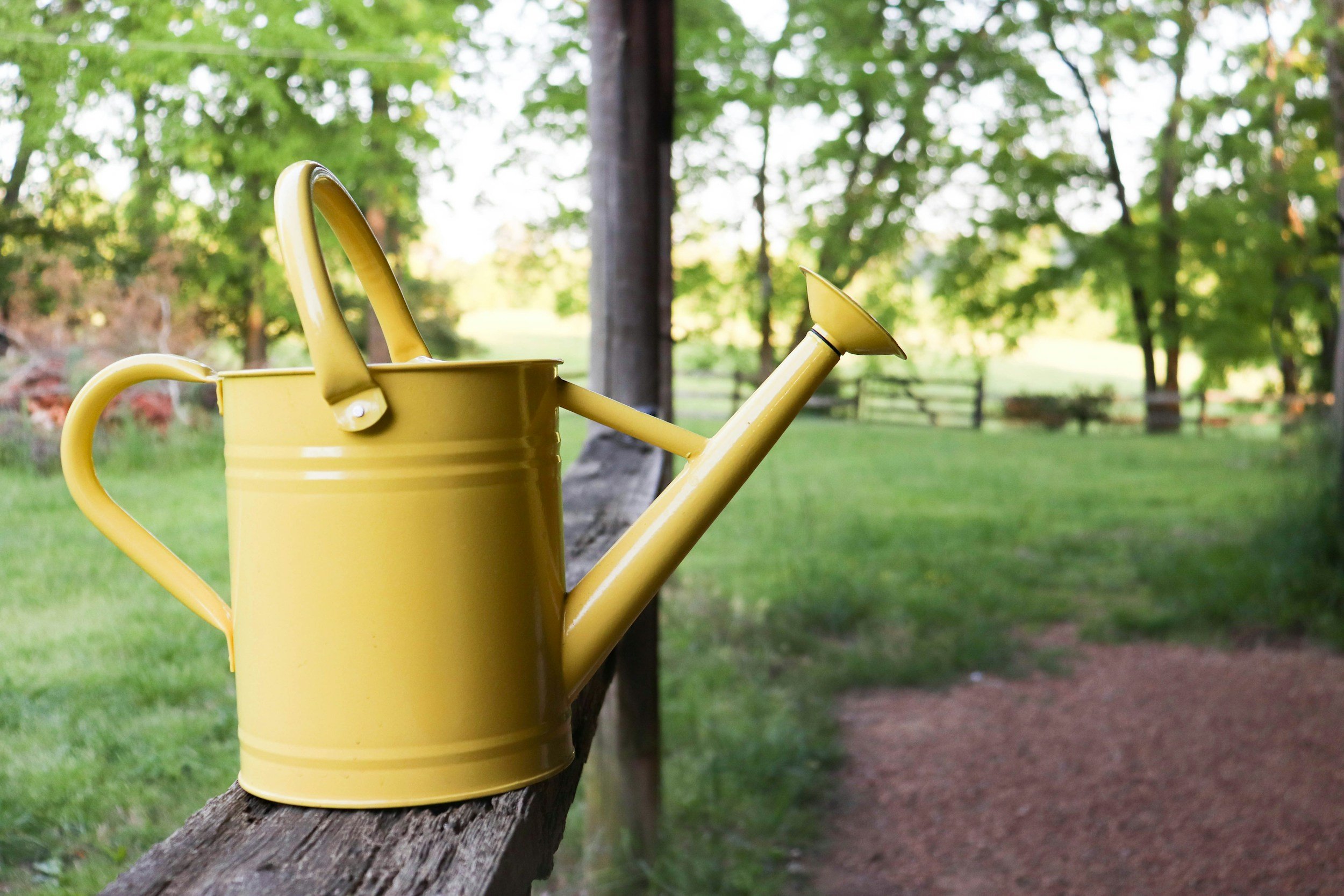 God's Watering Can ~ Charity Graber 