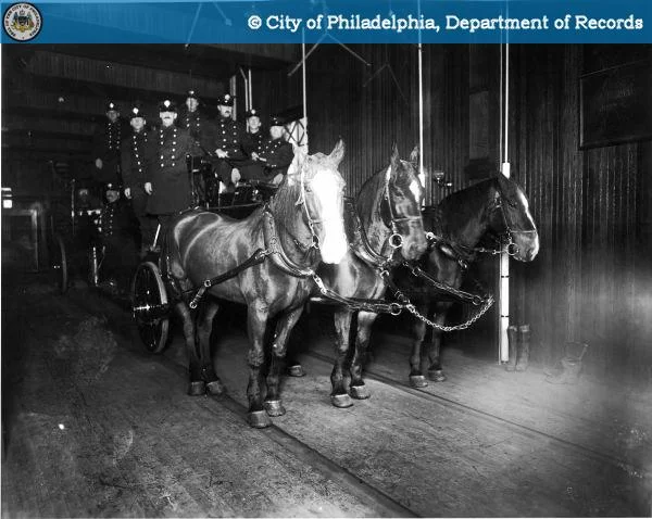 MediaStream (1).jpeg