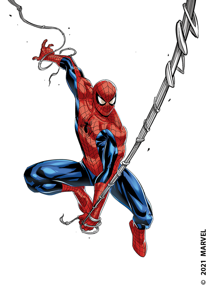 Spiderman Spider Image