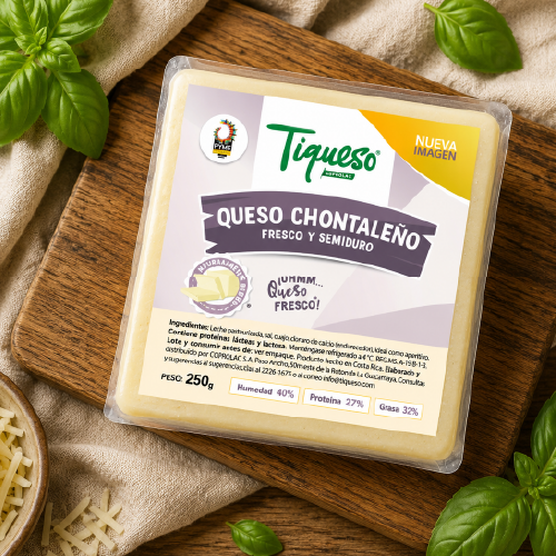 Queso Chontaleño Tiqueso