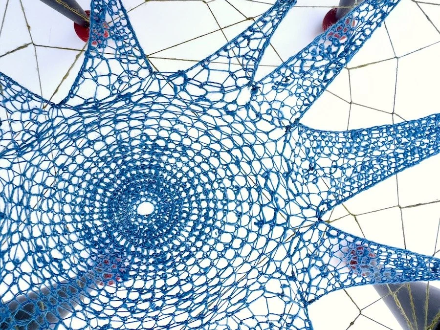 Wolf Spider Table.11-web.jpeg