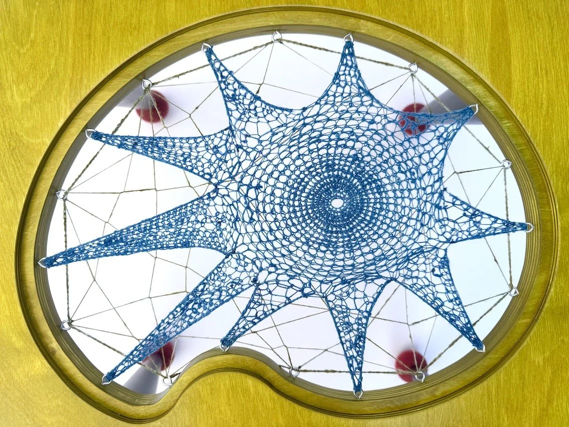 Wolf Spider Table.8-web.jpeg