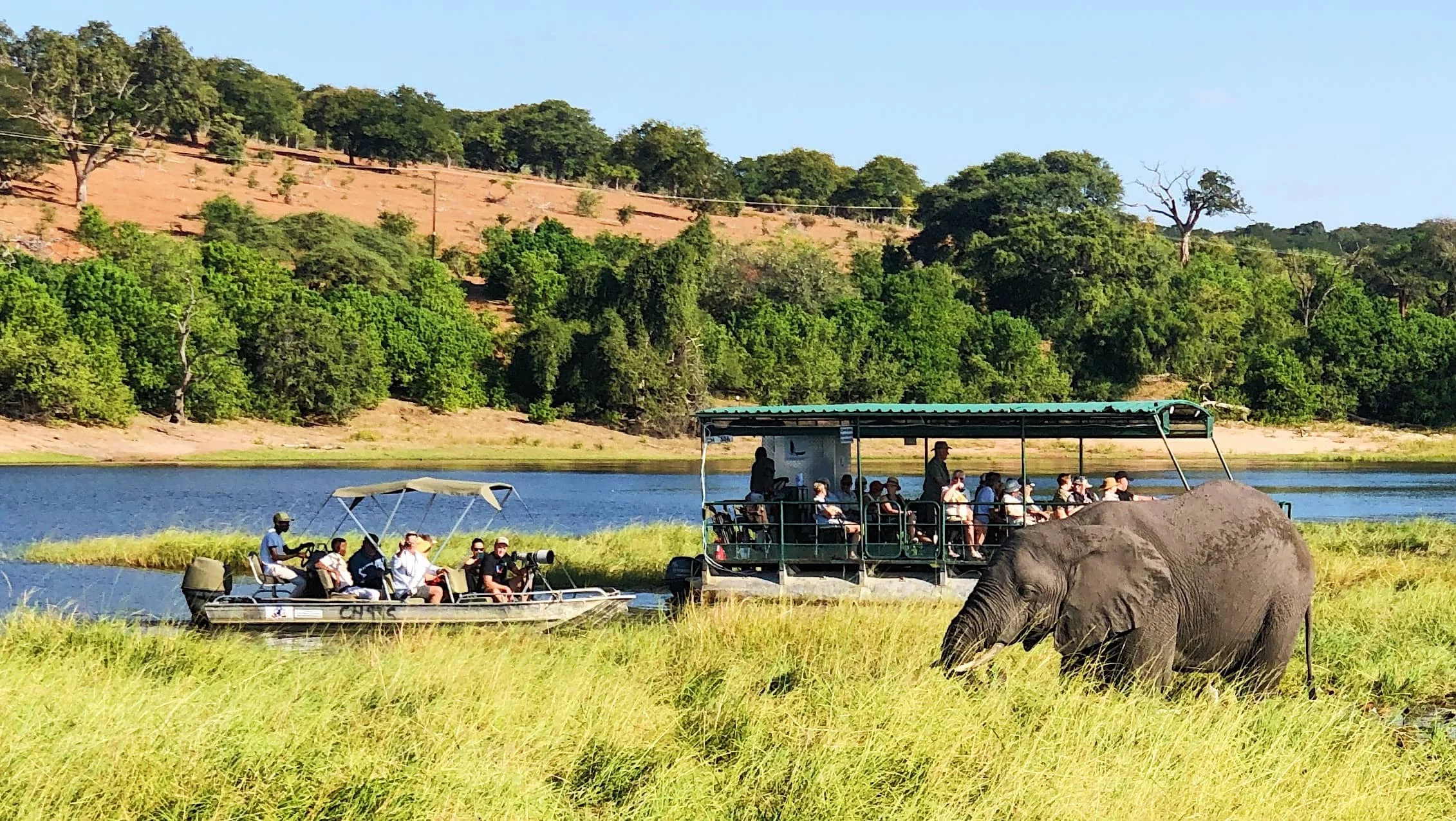 Chobe National Park — Travel Blog — The Traveling Creative: Travel Blog,  Destination Guides, Travel Stories, Female Travel Blogger