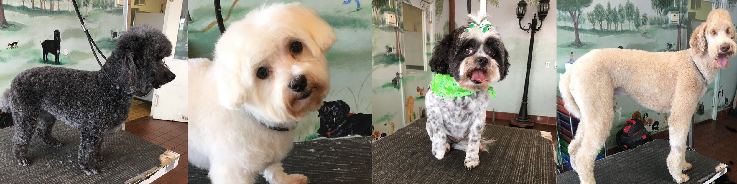 grooming banner.jpg