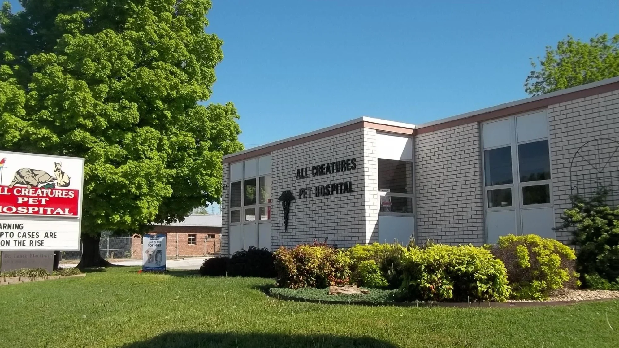 all creatures animal clinic