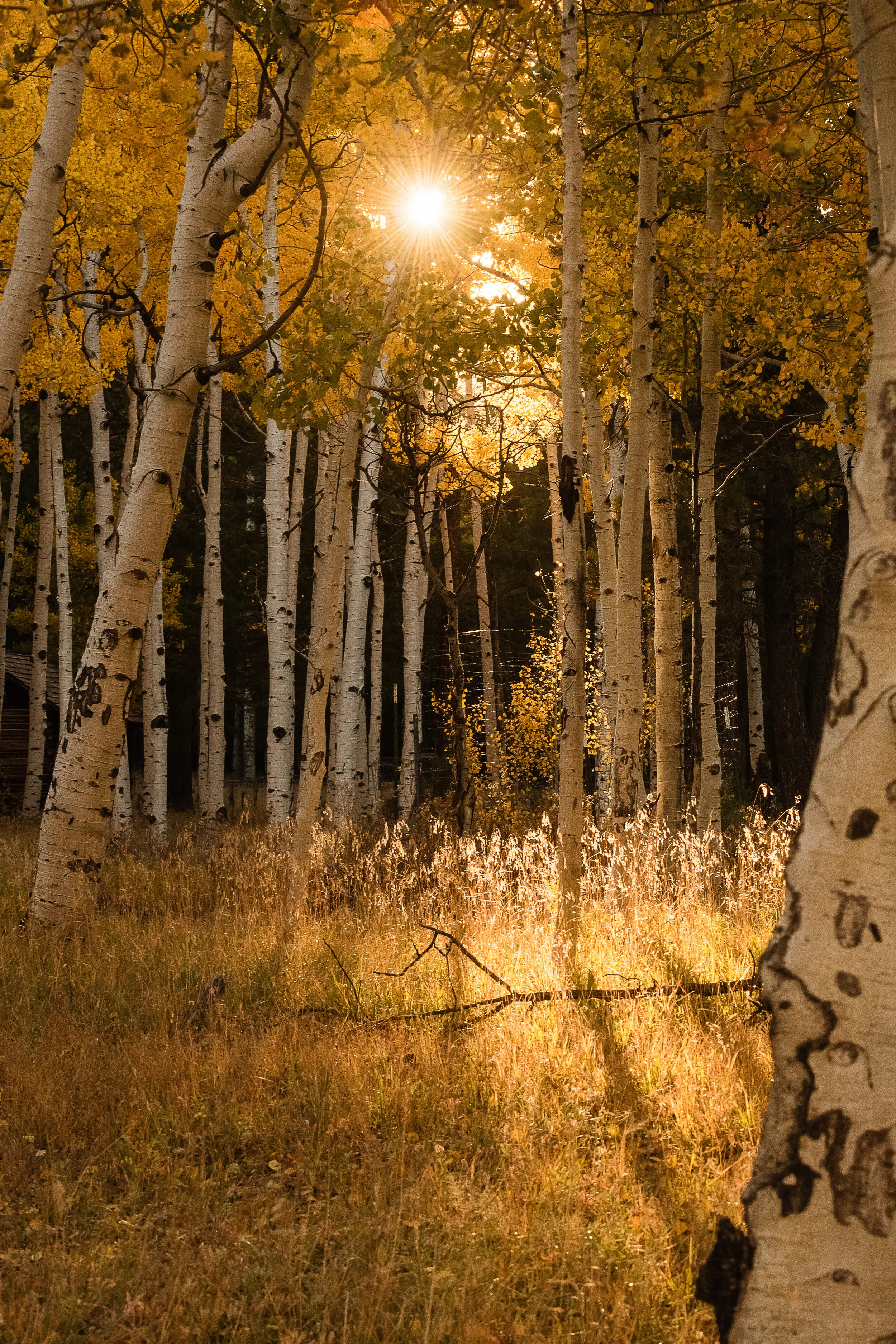 KWP Landscapes-4.jpg