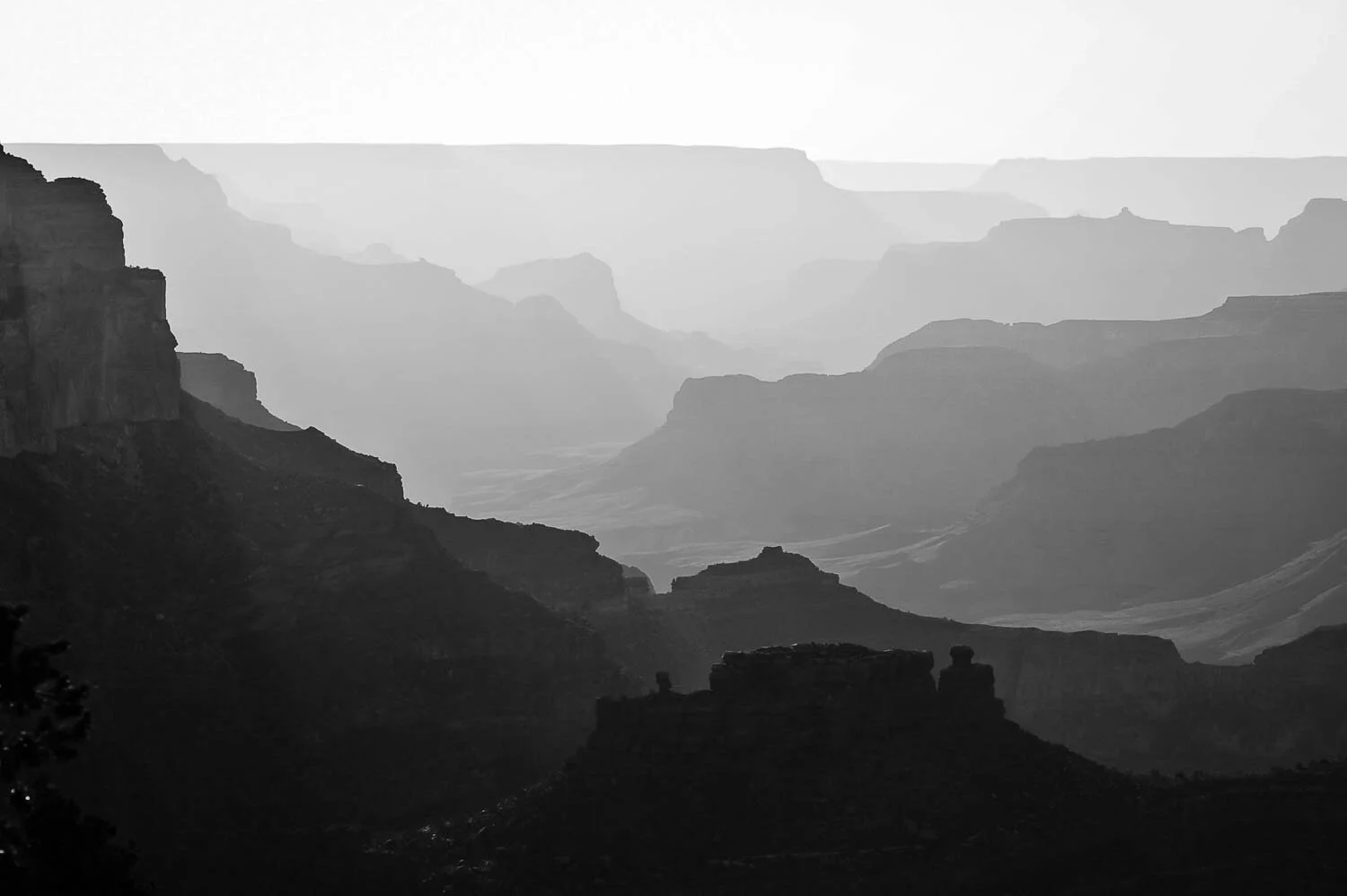 Katie Woodard Landscapes-1.jpg
