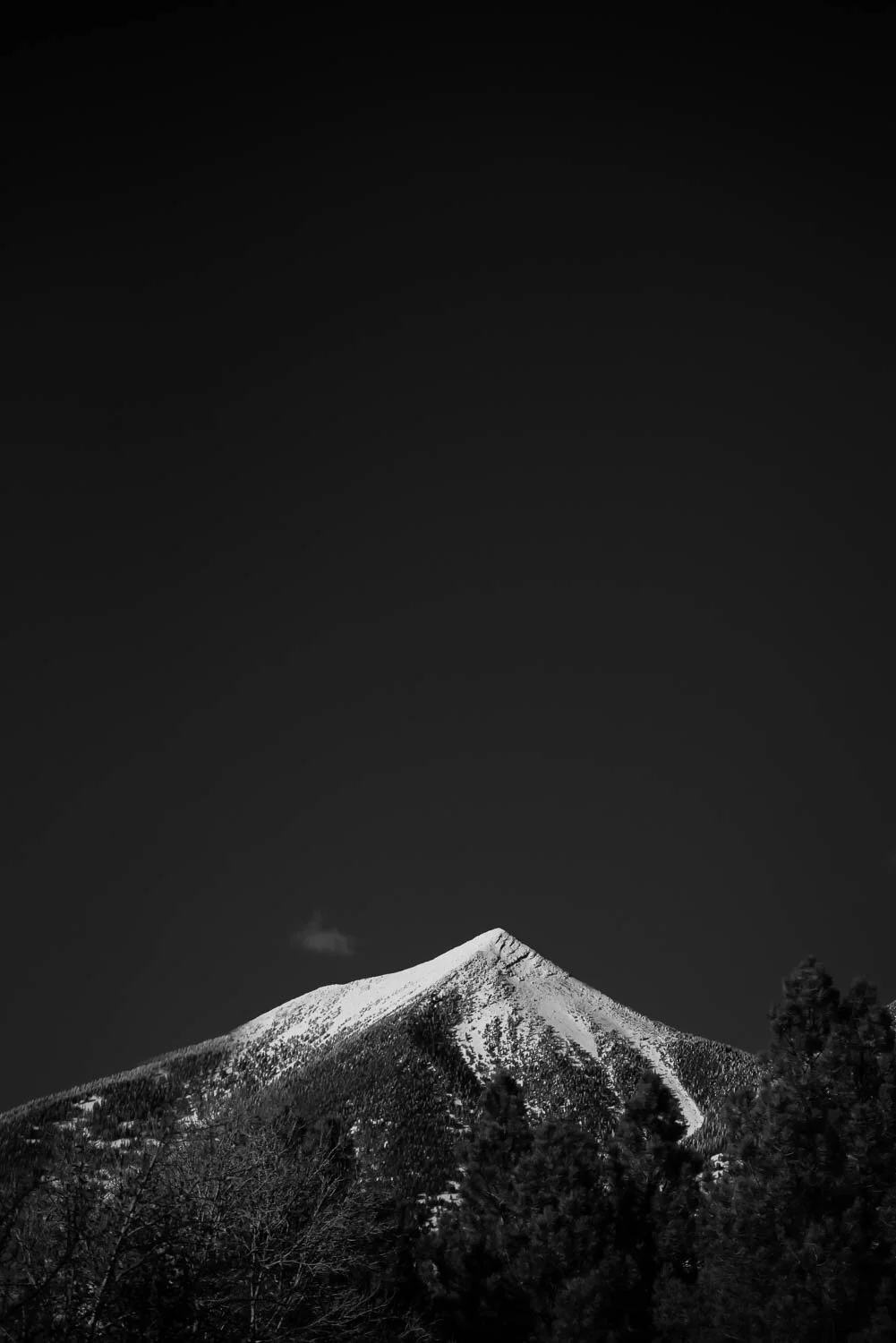 Katie Woodard Landscapes-2.jpg