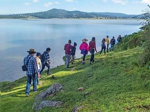 Rutas de senderismo para todos: caminatas fáciles en el bosque cerca de la ciudad de méxico