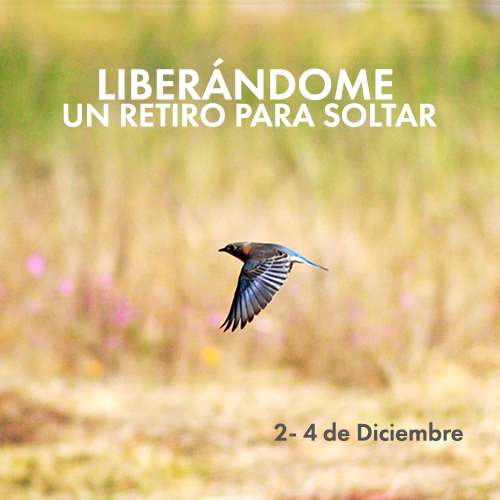LIBERÁNDOME. UN RETIRO PARA SOLTAR