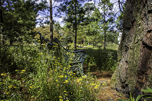 Inhala_camping_donde_acampar_tranquilo_cerca_CDMX.png