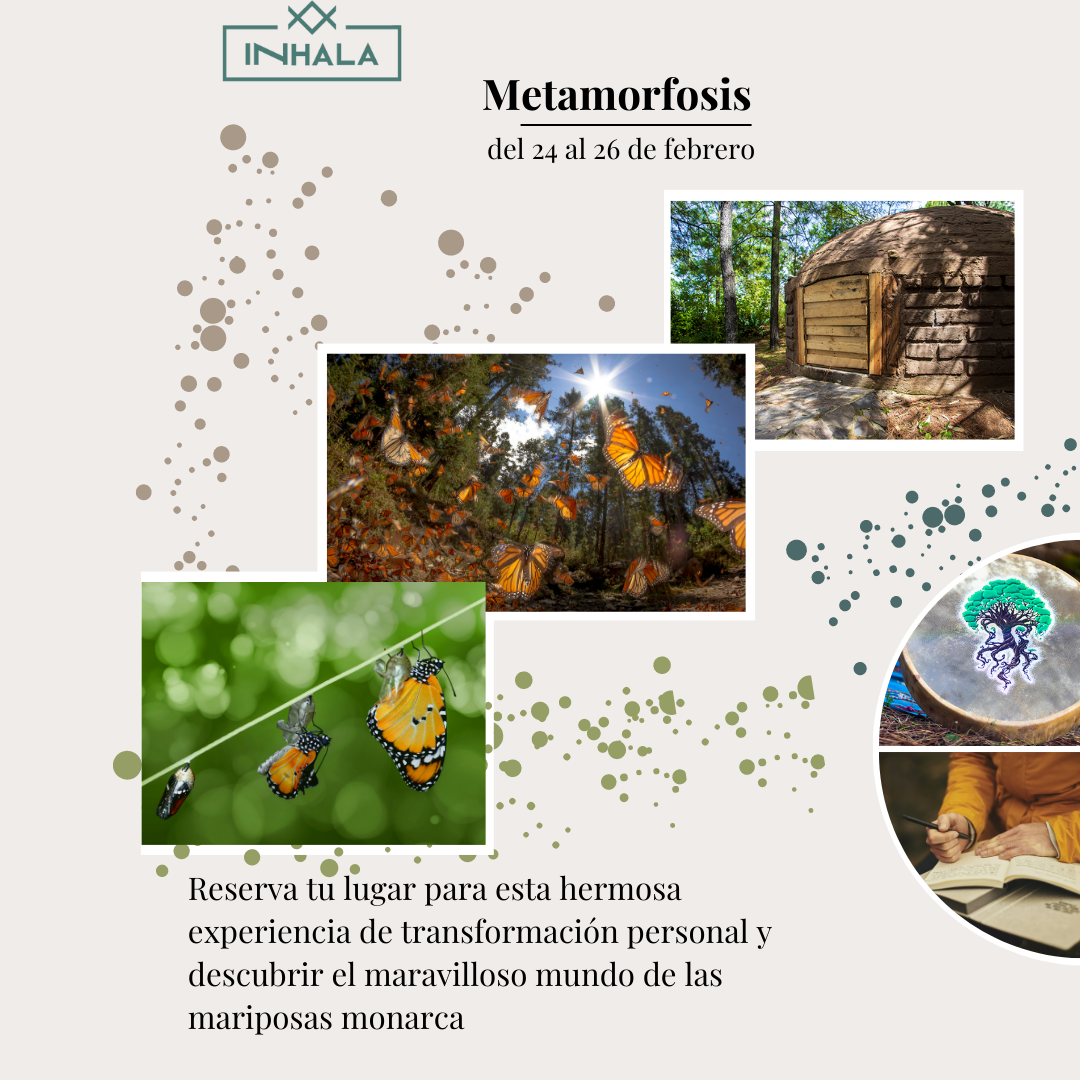 METAMORFOSIS. Un retiro de transformación personal