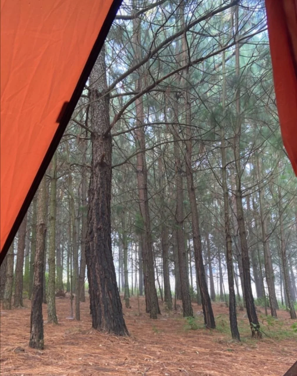 ¿Por qué es buena idea acampar en InhalaMx?