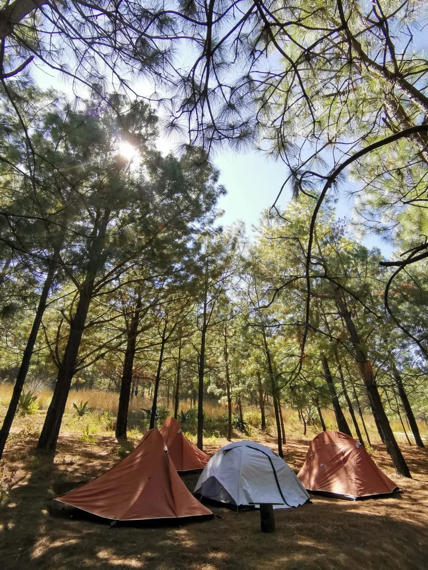 Inhala_camping_Campamento_seguro_cerca_cdmx.jpeg