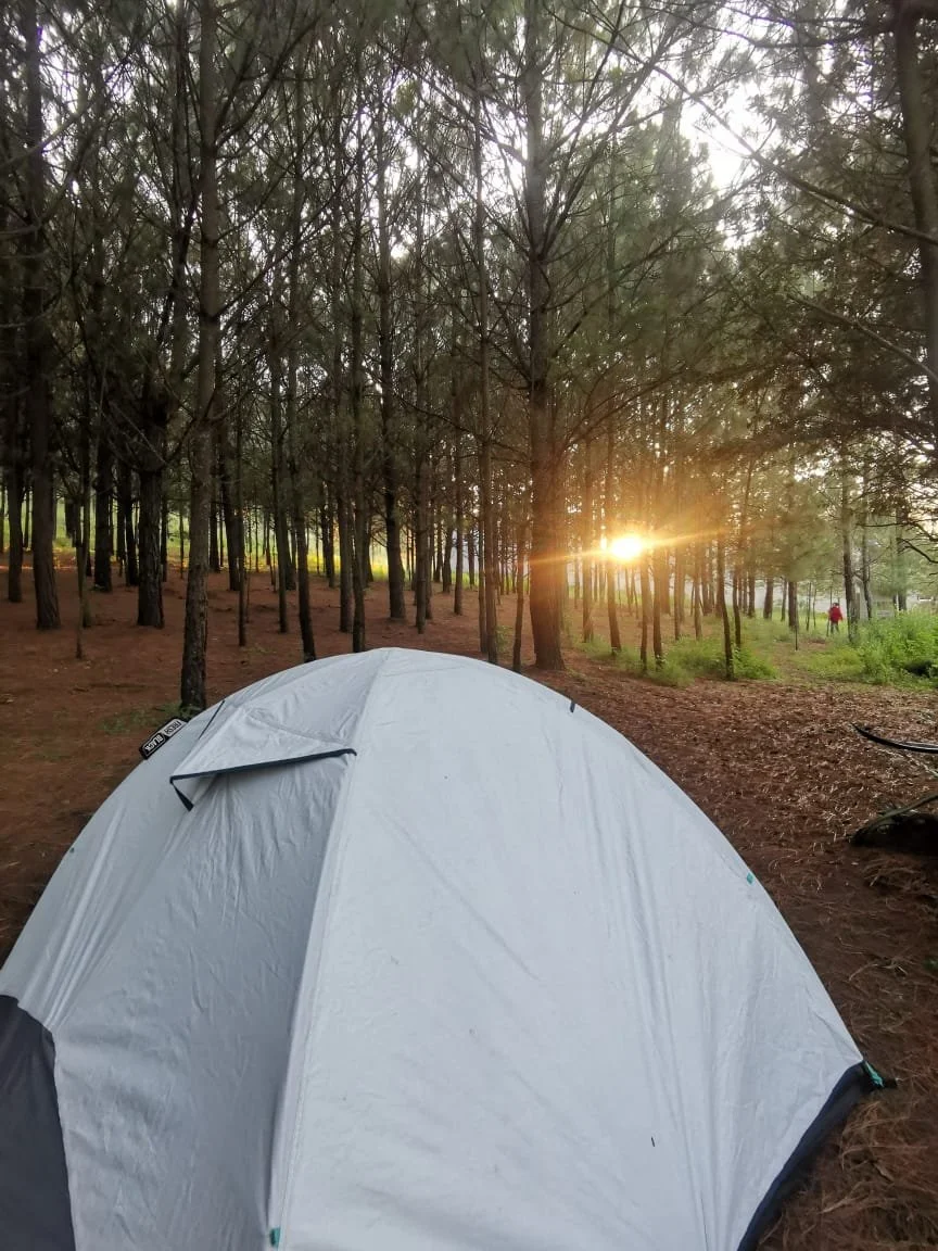 WhatsApp Image 2023-04-11 at 2.49.45 PM(2).jpeg