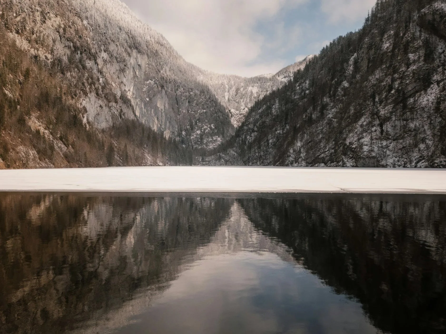 The Human Element: Navigating AI in Family Law