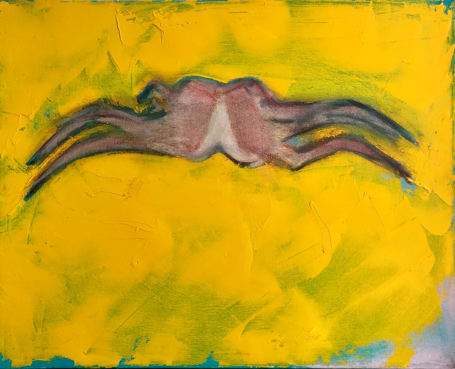 Crab, Dublin Bay.JPG