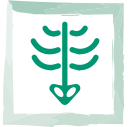 icon-exam.png