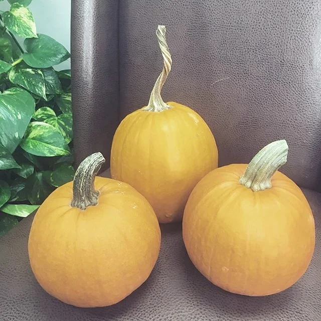 Healthy Halloween Party