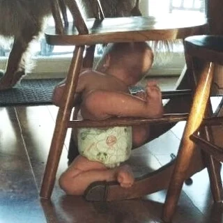 In Case You Were Wondering