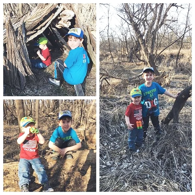 Fresh Air and Sunshine