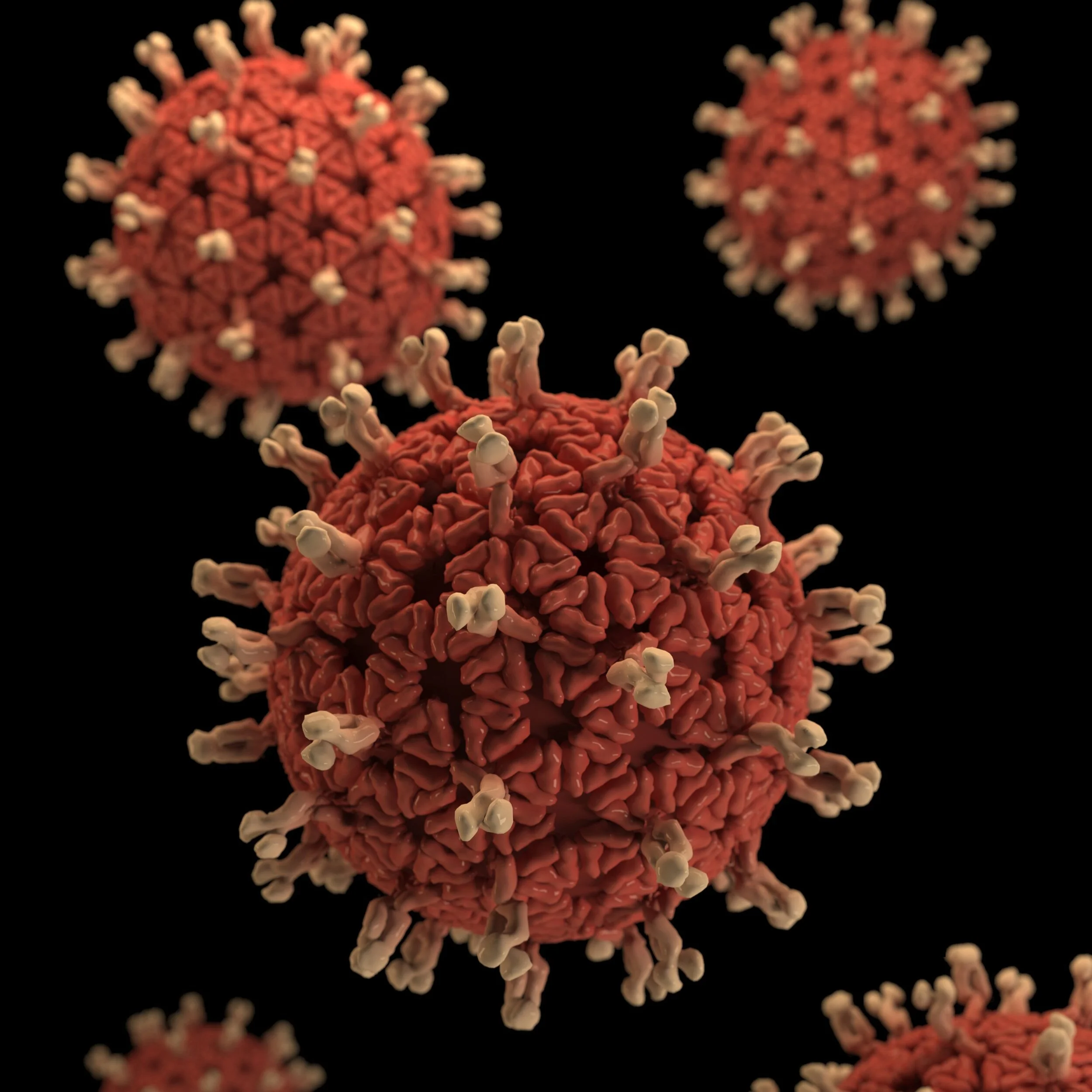 COVID-19 Canceled My Race: What Should I Do?