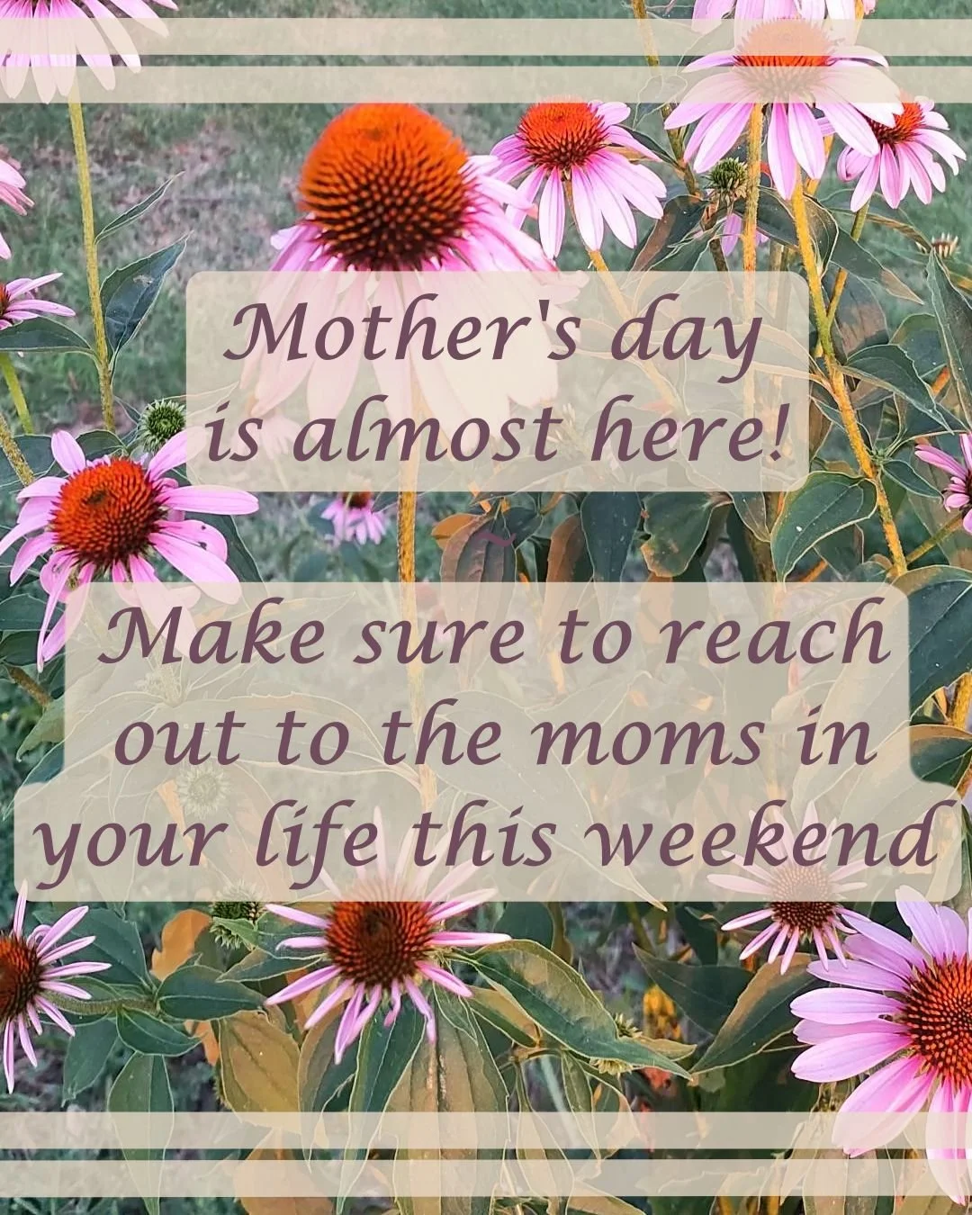 mothers day 2025.jpg