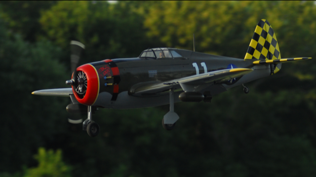 Ray's P-47