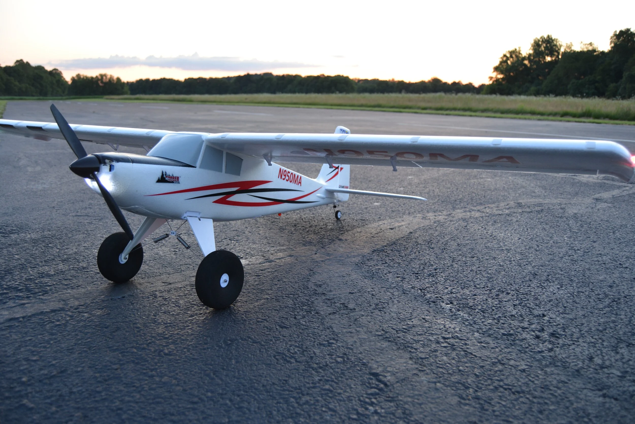 Travis' Timber 2.JPG