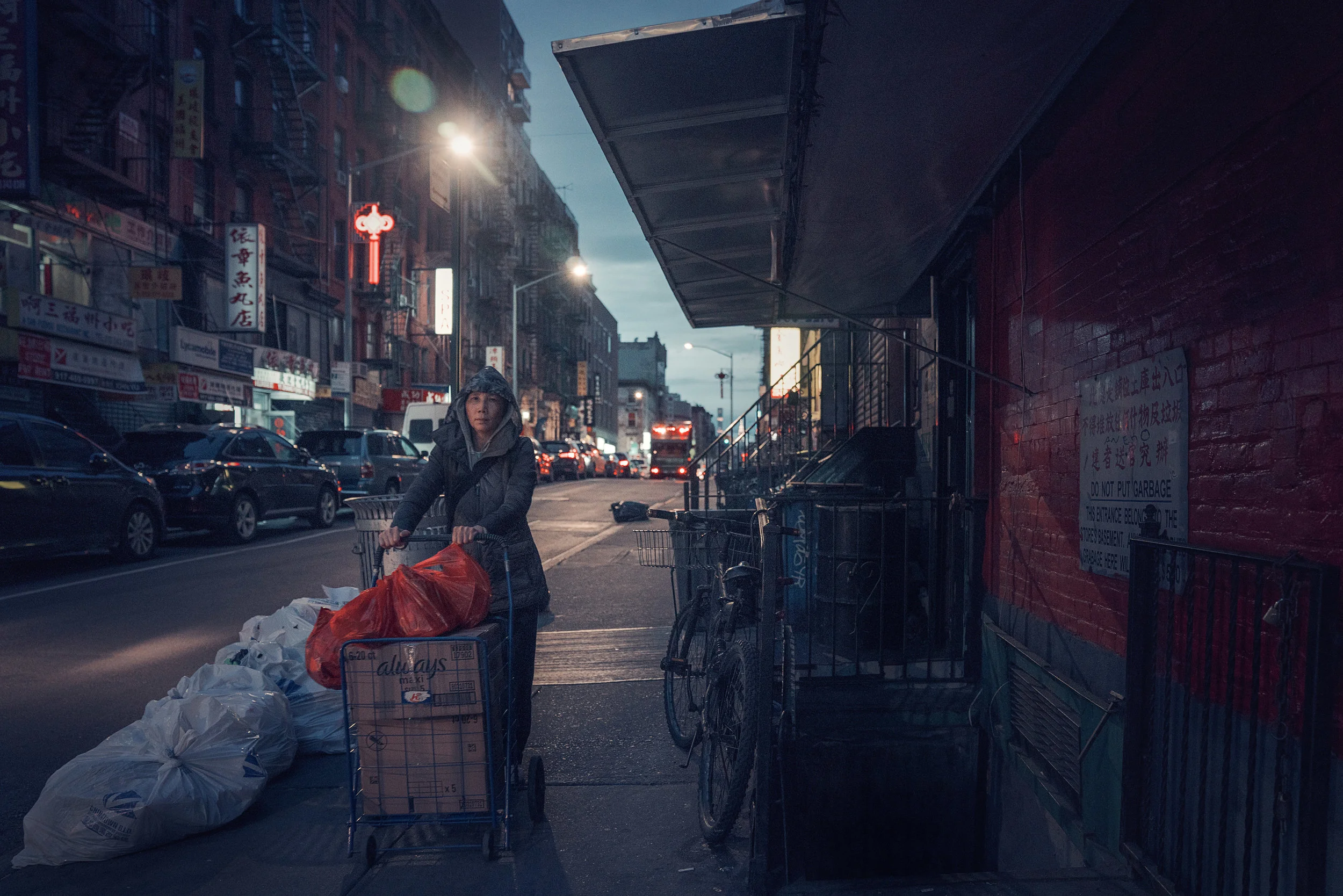 lady walking down street with cart for website.jpg