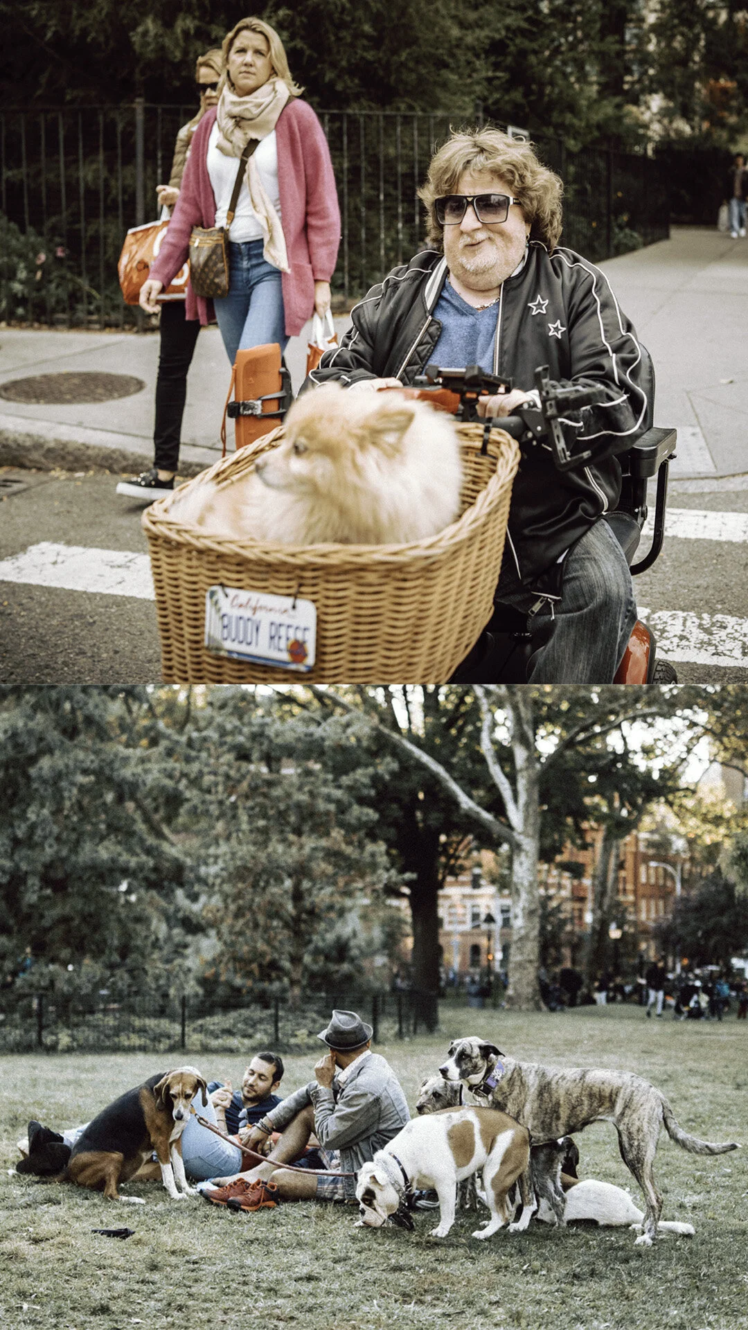 Dog eat dog world.jpg