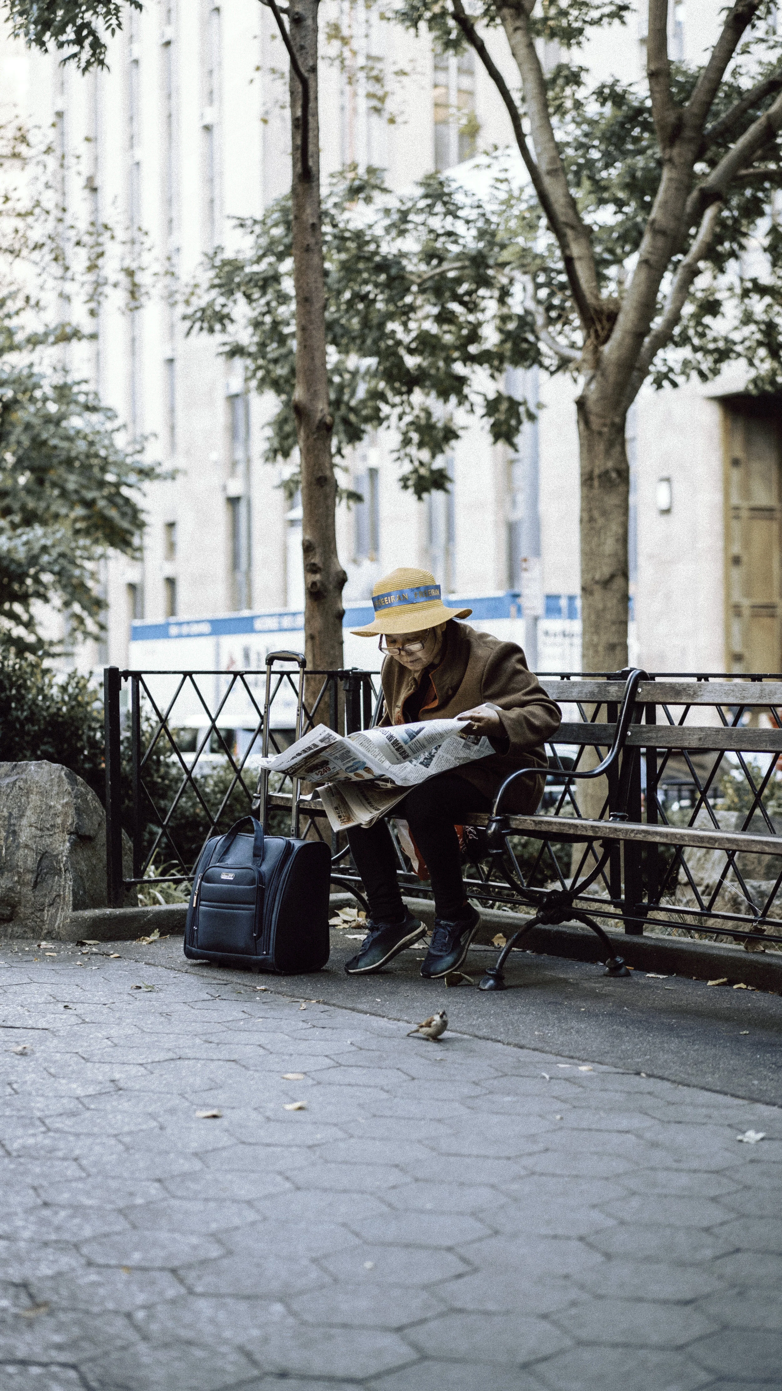 Lady Reading the News.jpg