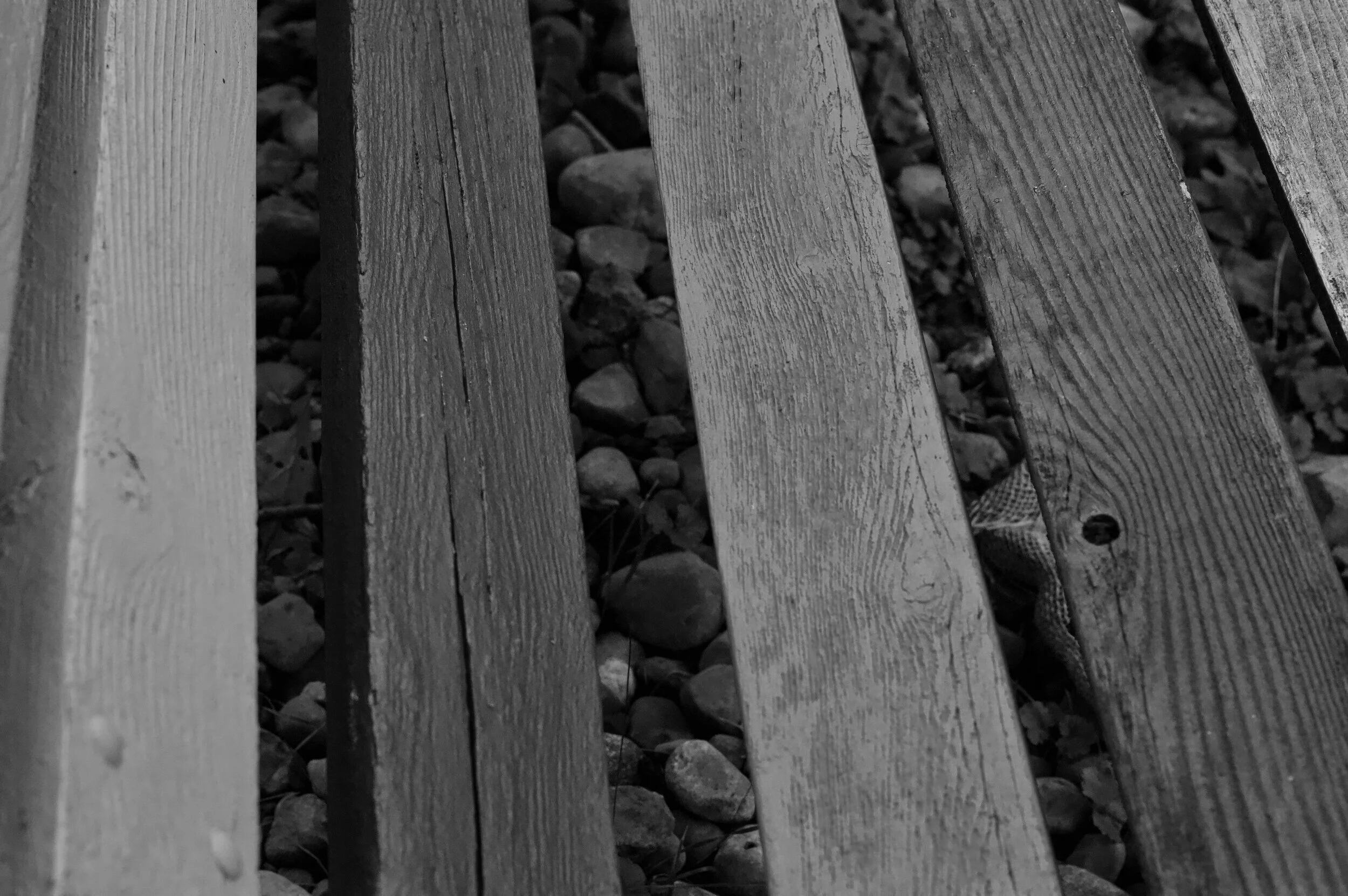 DSC_0341.jpeg