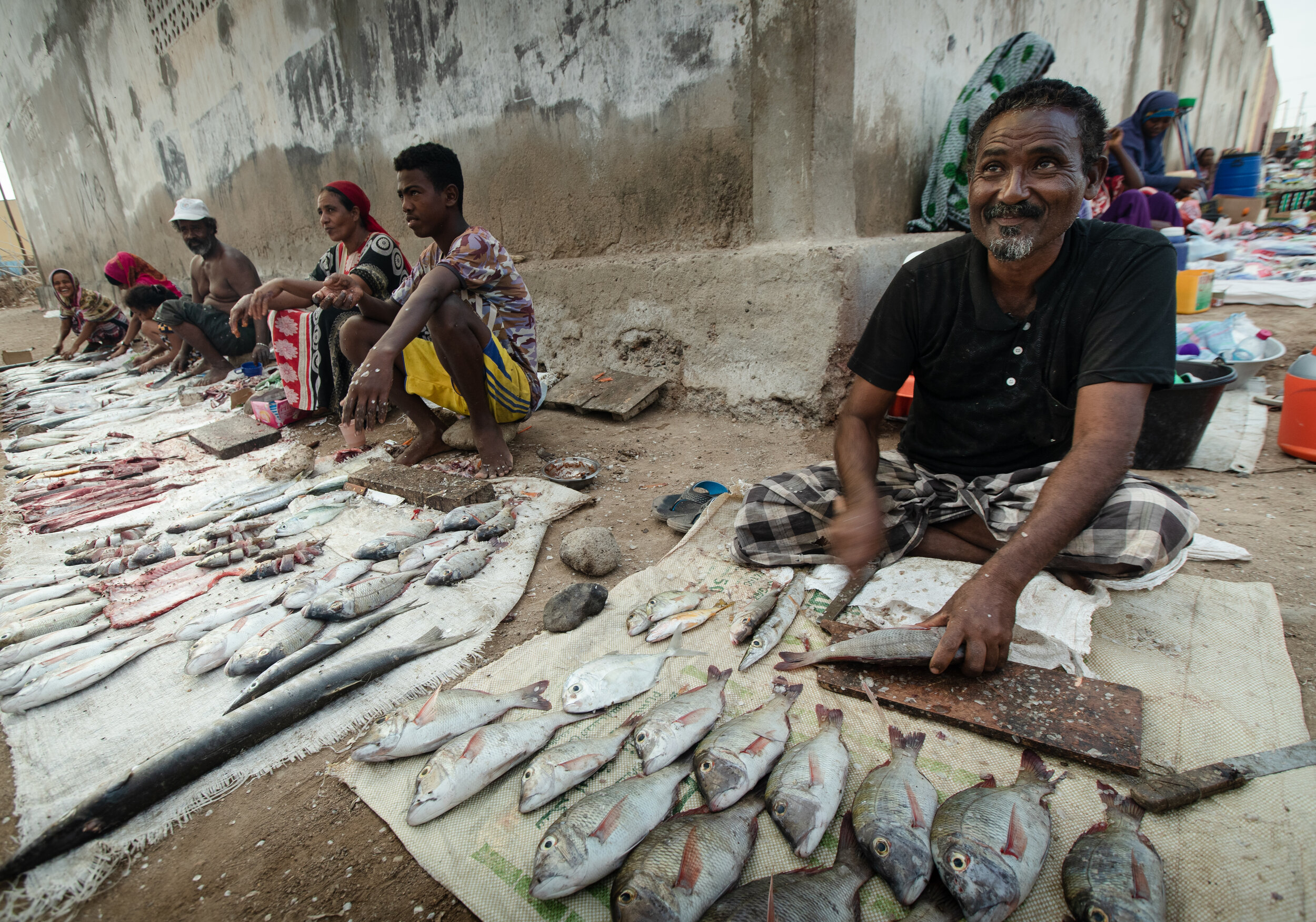  artisanal fish market in Obock, Djibouti, 2019 