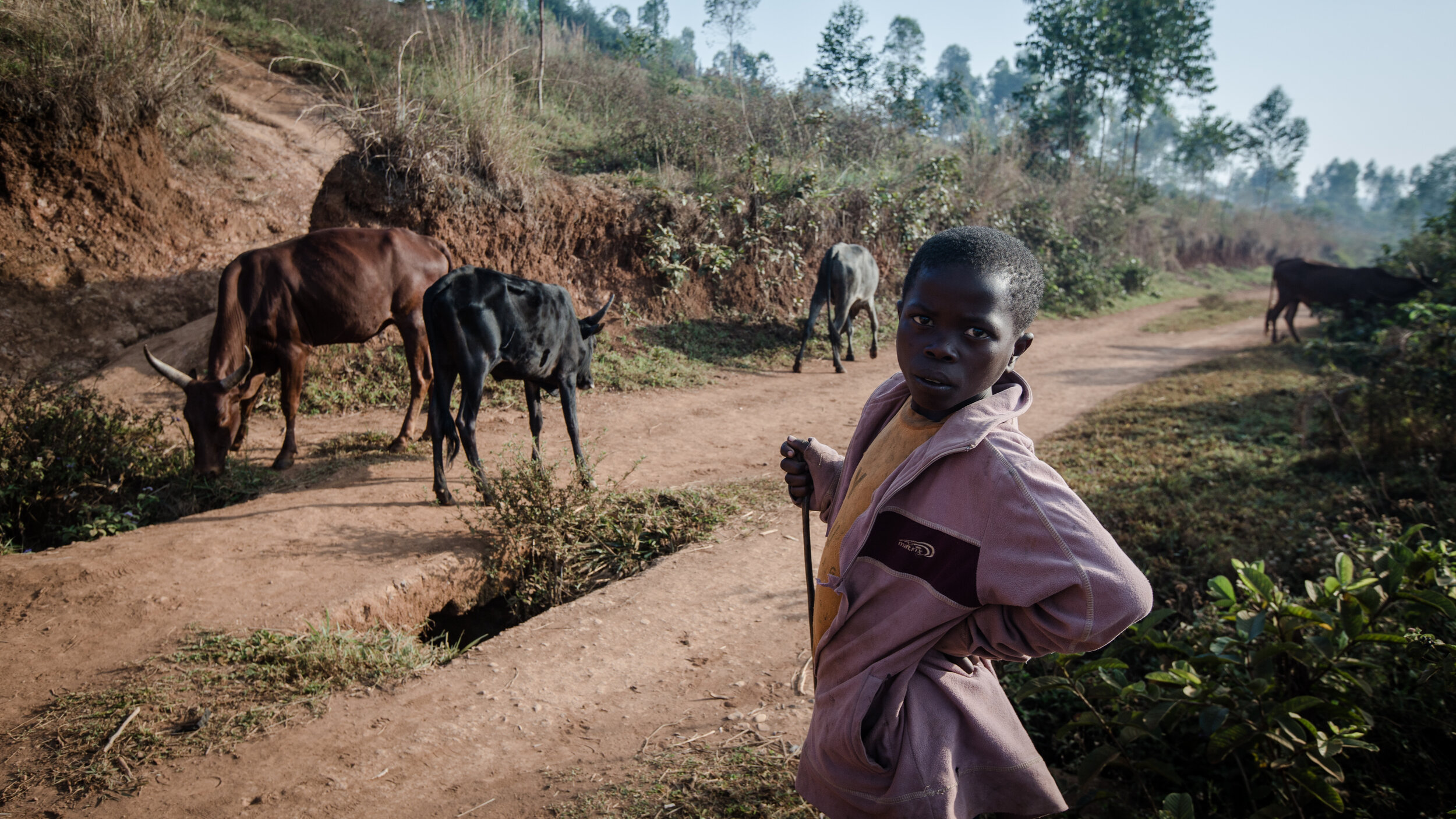  an encounter on the way up hill to Nyamurale gold mining site, on a project with TetraTech about artisanal gold mining in The Democratic Republic of Congo in August 2018 