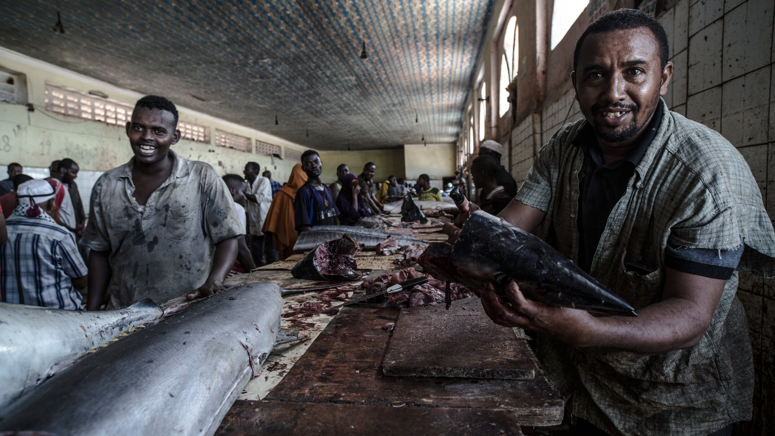  Mogadishu’s fish market, Somalia, 2017 