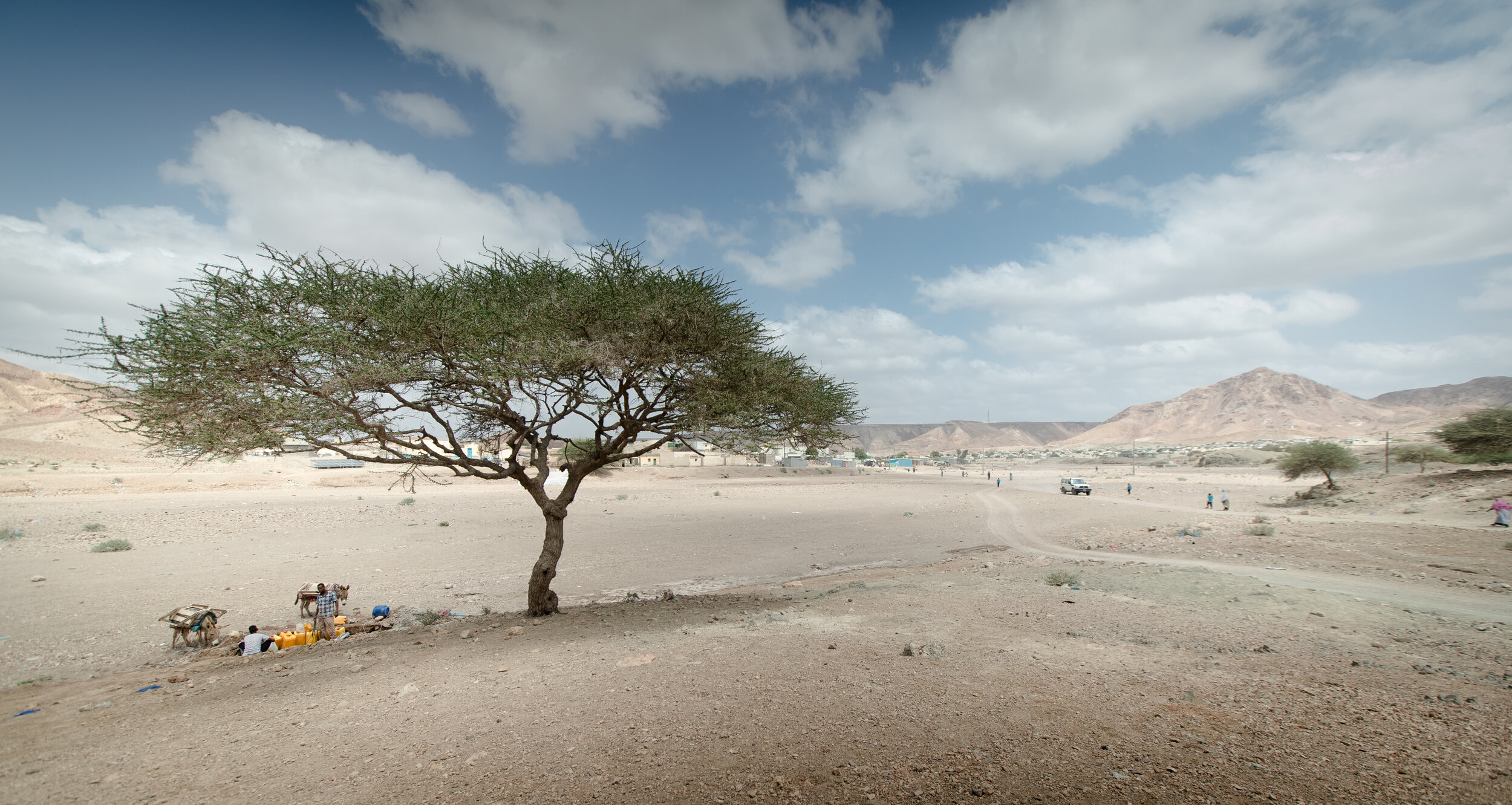  fetching water under the tree at the entrance of Ali-Addeh, Djibouti, 2019 