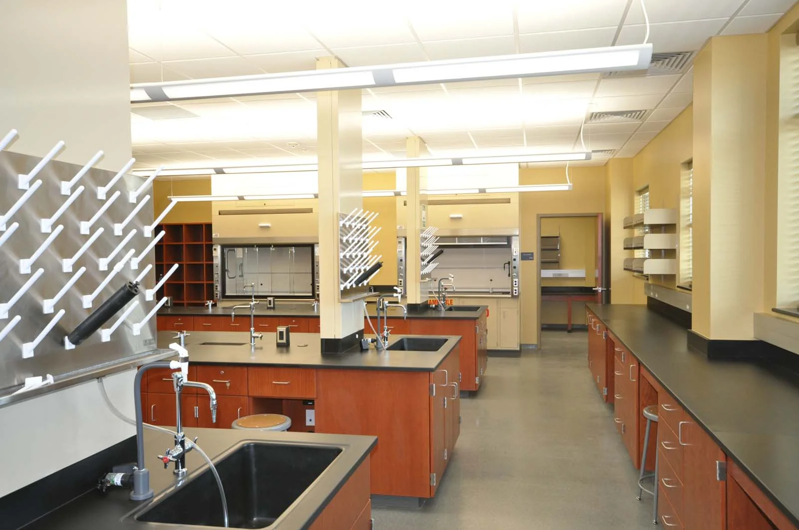SAUScience_Image4.jpg